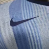 2024/25 Tottenham Hotspur Away Long Sleeve Jersey Player Version