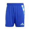 2024 Argentina Away Shorts Copa America