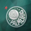 SE Palmeiras 2023/24 Home Jersey Player Version