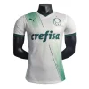 SE Palmeiras 2023/24 Away Jersey Player Version