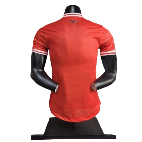 24-25 Player Version Liverpool Joint Edition Football Shirt