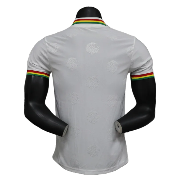 2024/2025 Senegal Special Edition Senegal Football Jersey for Players