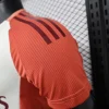 2024/2025 Player Version Lyon Third Away Football Shirt