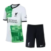 Kids Liverpool Away Whole Kit Jersey+Shorts+Socks 2023/24