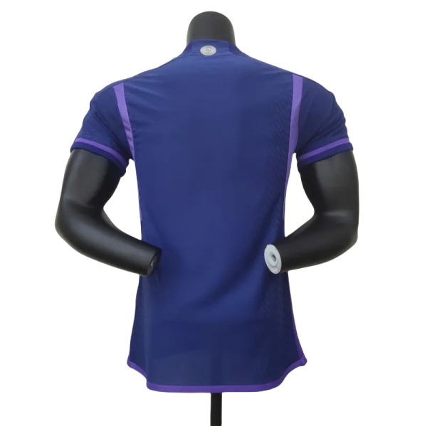 2022 Argentina World Cup Champion Edition 3 stars Away Jersey Player Version