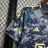 24-25 Ajax Away Soccer Jersey Fan Version