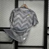 Santos Training Shirt Soccer Jersey 24-25