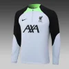 Liverpool Half-Pull Training Suit Grey Jersey 2023/2024