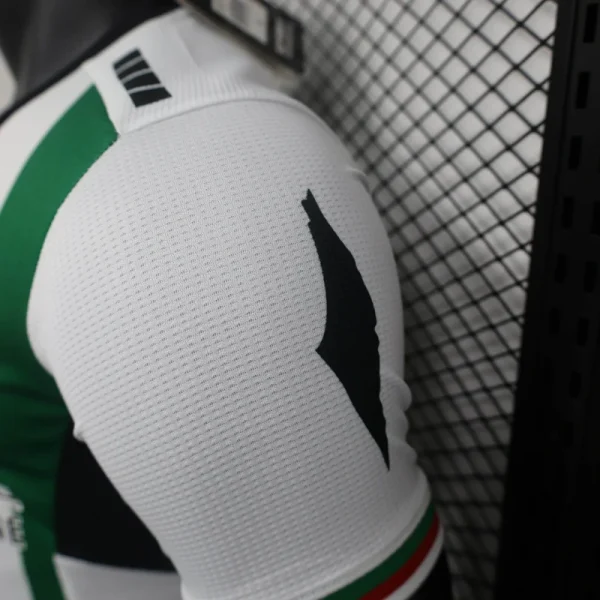 2024/2025 Player Version Club Deportivo Palestino Home Football Shirt