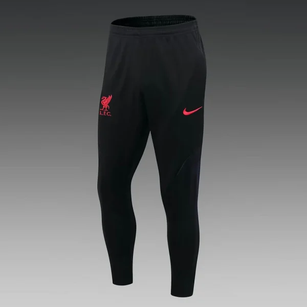 Liverpool Half-Pull Training Suit Purple Jersey 2022/2023