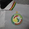 2024/2025 Senegal Special Edition Senegal Football Jersey for Players