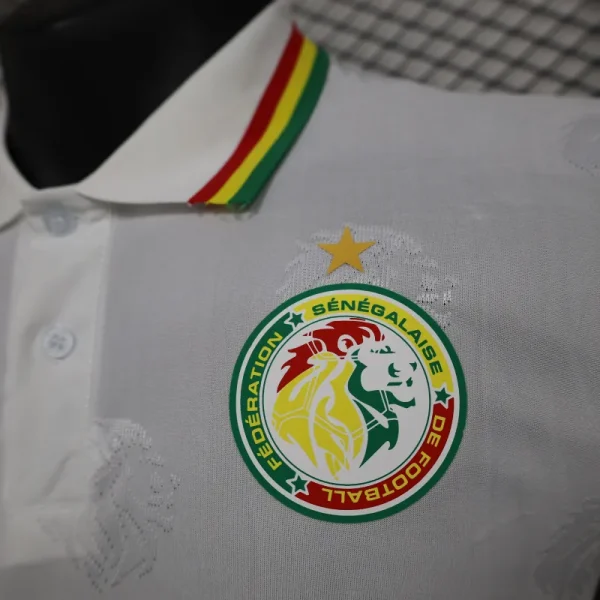 2024/2025 Senegal Special Edition Senegal Football Jersey for Players