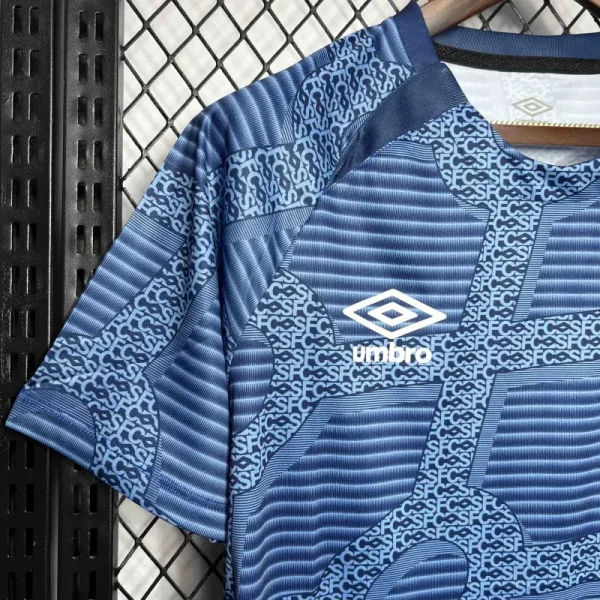 Santos Training Shirt Soccer Jersey 24-25