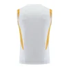 2023/24 Real Madrid Pre-Match Vest Jersey White