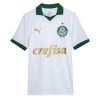 SE Palmeiras Soccer Jersey Away Shirt Full Sponsor 2024-25