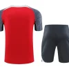 24-25 Liverpool Training Wear Red Suit Shirt