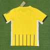 2024/25 Brighton & Hove Albion Away Jersey