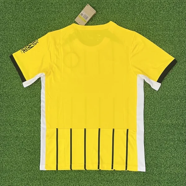 2024/25 Brighton & Hove Albion Away Jersey