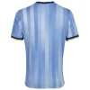24-25 Tottenham Hotspur Away Soccer Jersey