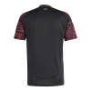 Peru Soccer Jersey Away Shirt Copa América 2024