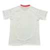 2025-2026 Liverpool Special Edition Football Jersey