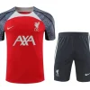 24-25 Liverpool Training Wear Red Suit Shirt