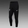 Liverpool Half-Pull Training Suit Grey Jersey 2023/2024