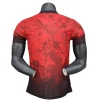 2024-25 Liverpool Special Edition Player Version Soccer Jersey