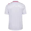 Denmark Away Jersey Euro 2024
