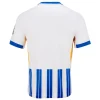 2024/25 Brighton & Hove Albion Home Jersey