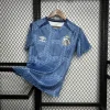 Santos Training Shirt Soccer Jersey 24-25