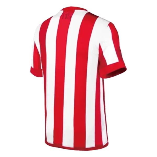 Chivas Guadalajara Soccer Jersey Home 115-Yeas Retro Replica